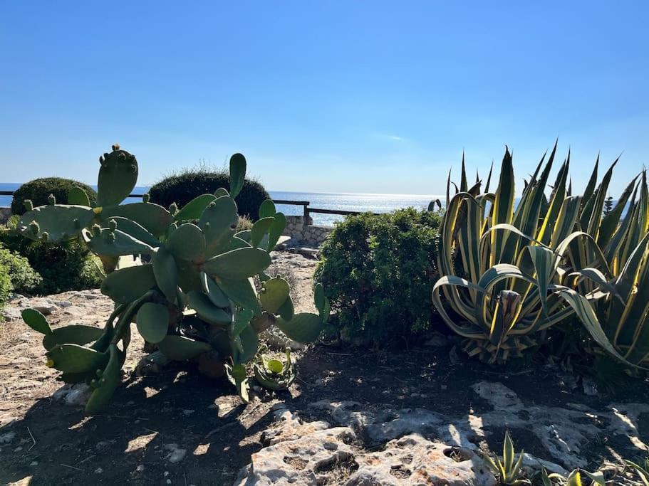 Villa Sebastian- Incomparabile Vista Sul Mare Plemmirio Exteriér fotografie